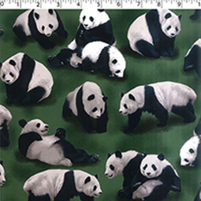 PANDAS