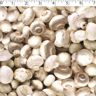 cotton fabric with white mushroom prints