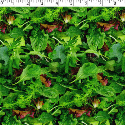 VEGETABLE GARDEN - LETTUCE