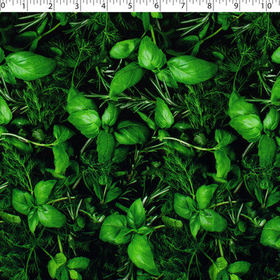 VEGETABLE GARDEN - HERBS