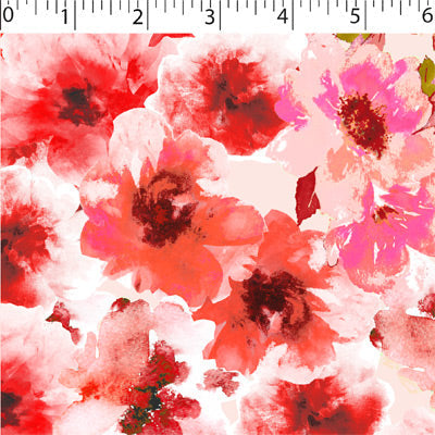 COTTINGTON GARDEN - DIANTHA