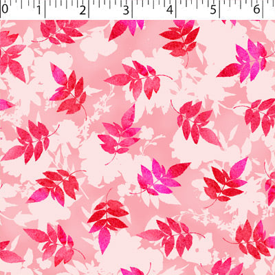 COTTINGTON GARDEN - ABELIA