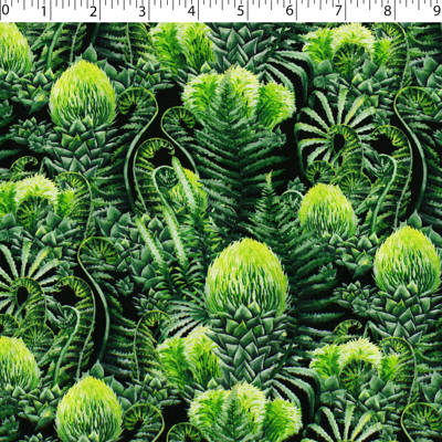 DINOSAUR VALLEY - PREHISTORIC PLANTS