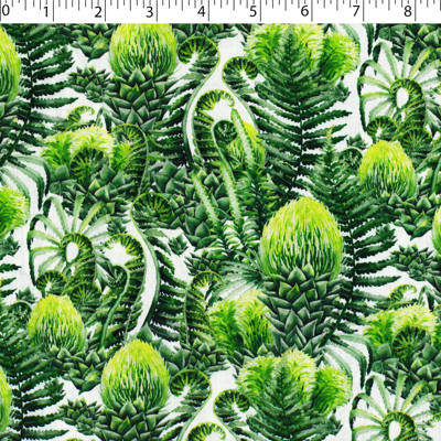 DINOSAUR VALLEY - PREHISTORIC PLANTS