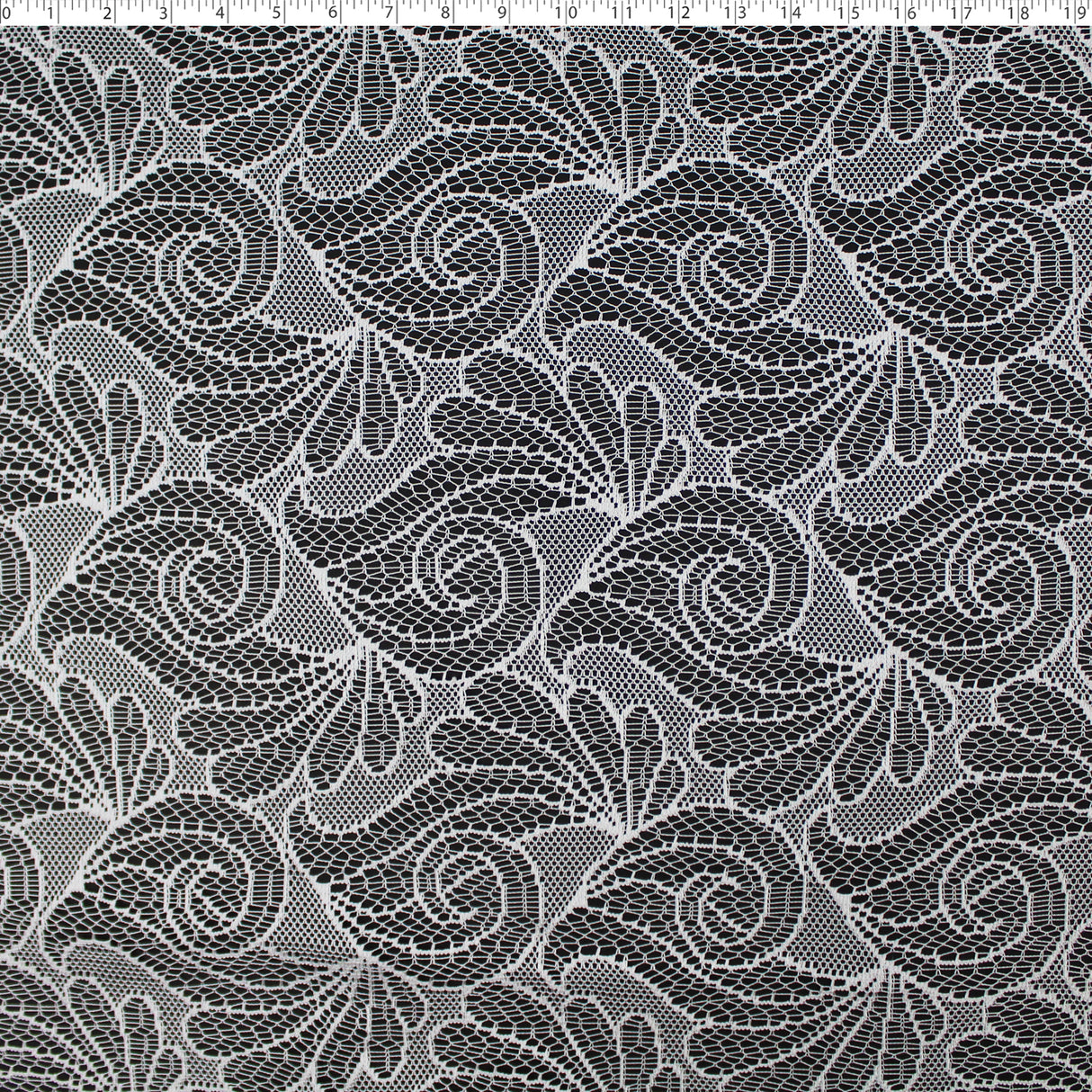 DRAPERY LACE - FRANCOISE