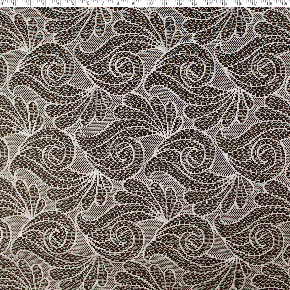 DRAPERY LACE - FRANCOISE