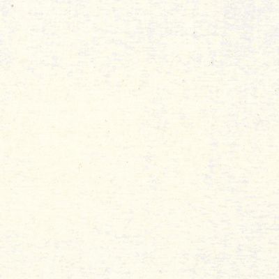 natural colour organic Cotton Jersey