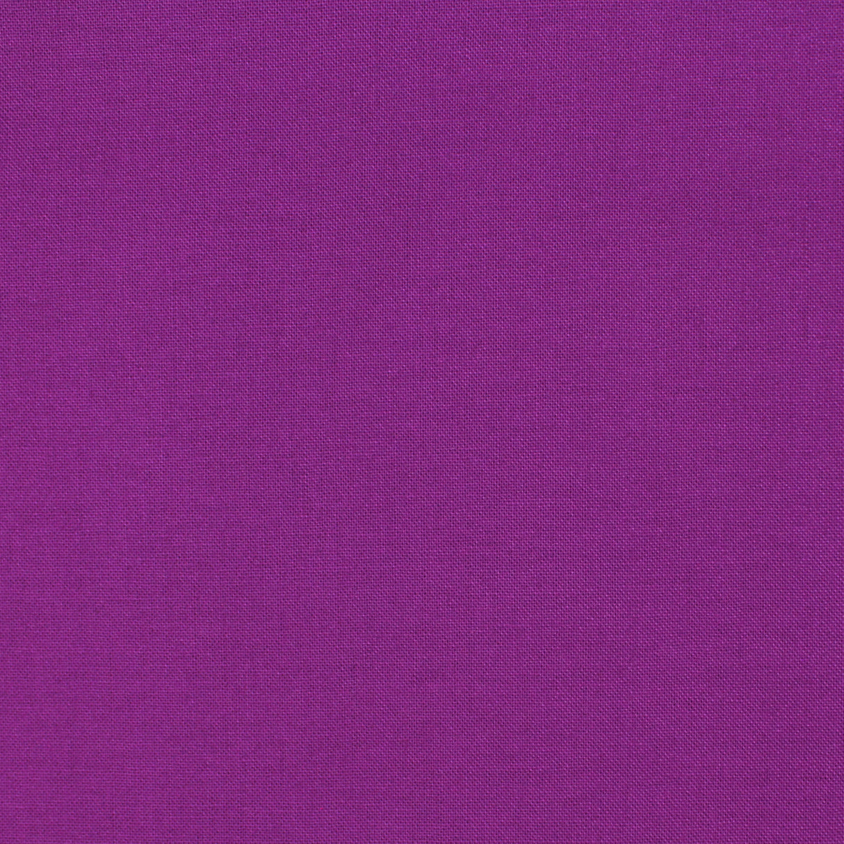 cotton colour viola