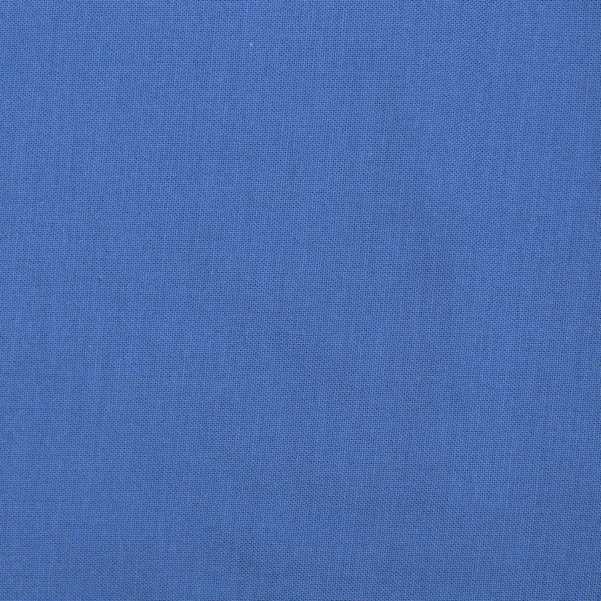 cotton colour cobalt