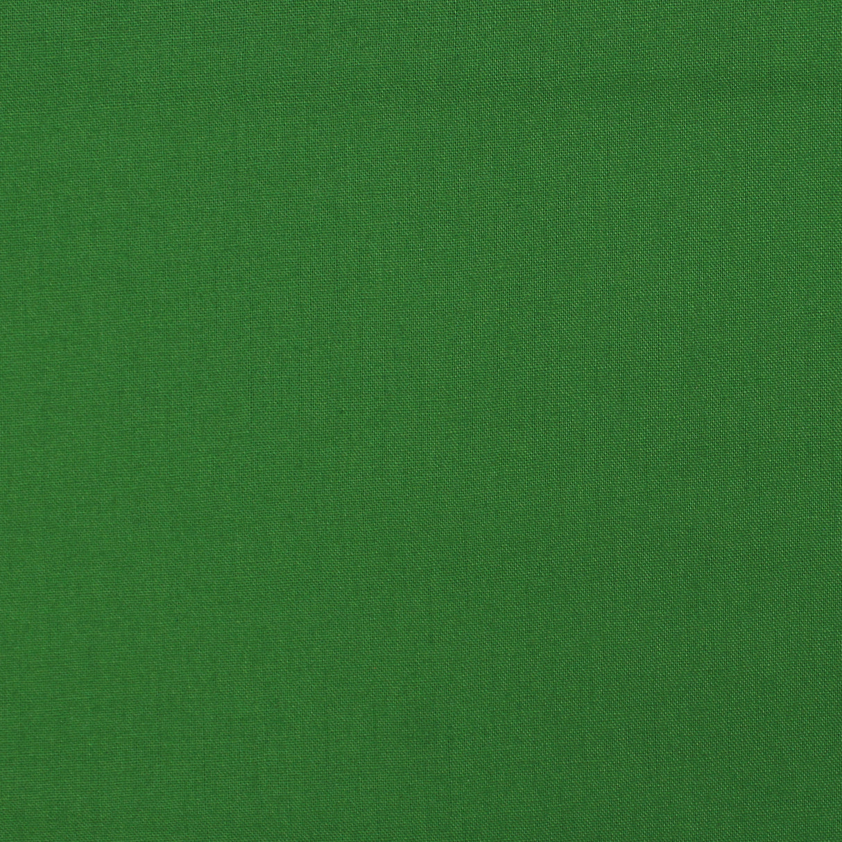 cotton colour evergreen