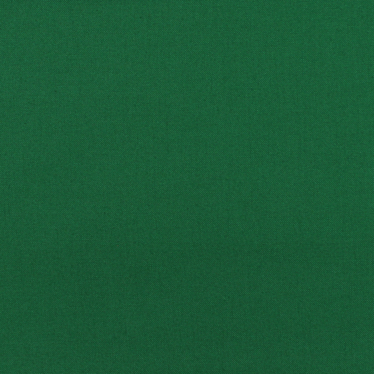 cotton colour rainforest