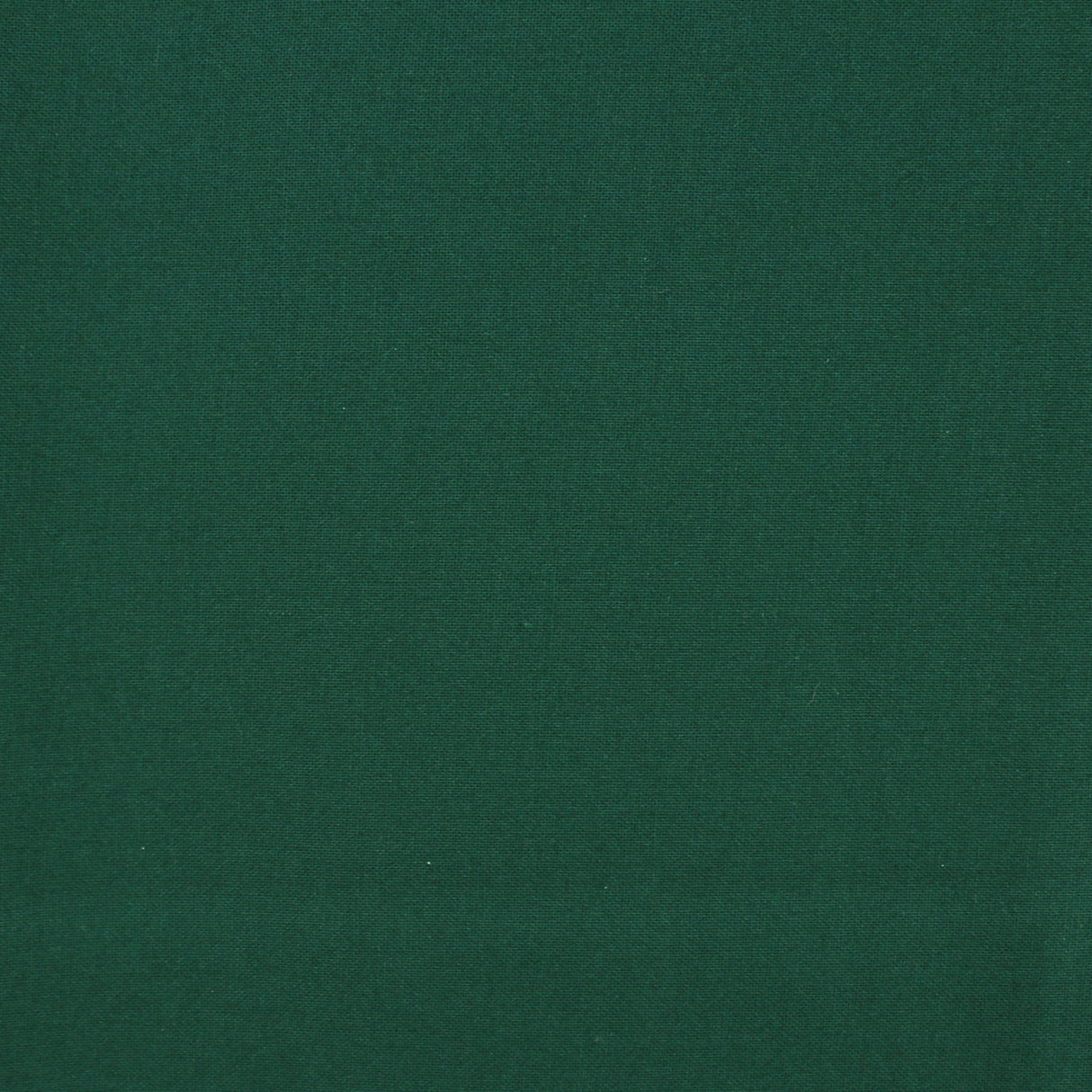 cotton colour spruce