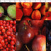 VINYL TABLING PRINTS - FRUIT PATCH