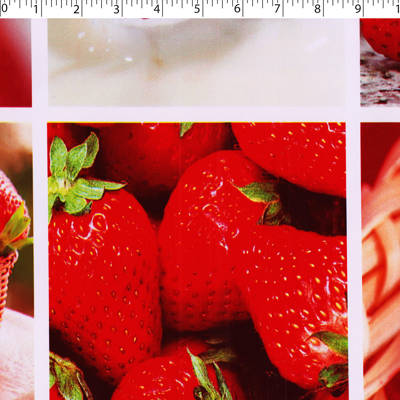 VINYL TABLING PRINTS - STRAWBERRY