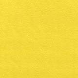 ARCTIC FLEECE SOLIDS - YELLOW COLOUR FAMILY