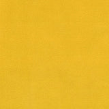ARCTIC FLEECE SOLIDS - YELLOW COLOUR FAMILY
