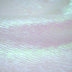 RAINBOW LAMÉ