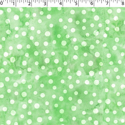 BABY ABC COORDINATES - TONAL DOT