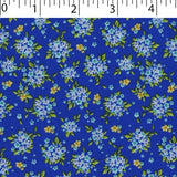 0649116 Bloomfield Calicos - Alyssum