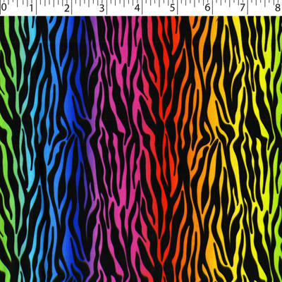 RAINBOW CREATIVE - TIGER STRIPE