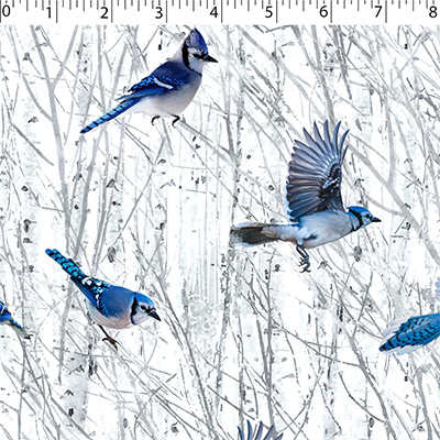 GREAT OUTDOORS - BLUE JAY