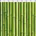 NATURE'S CREATIONS - BAMBOO