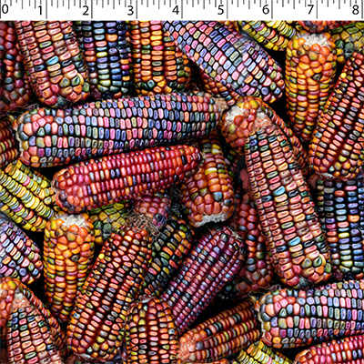 NATURE'S CREATIONS - ORNAMENTAL CORN