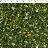 NATURE'S CREATIONS - CHAMOMILE