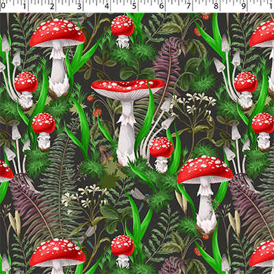 0649202 CRAFT CORNER - MUSHROOMS