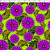 0649204 ASHANTI INSPIRATIONS - SHAHINA