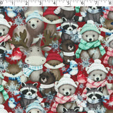 ROCKY MOUNTAIN HOLIDAY - SNOW FRIENDS