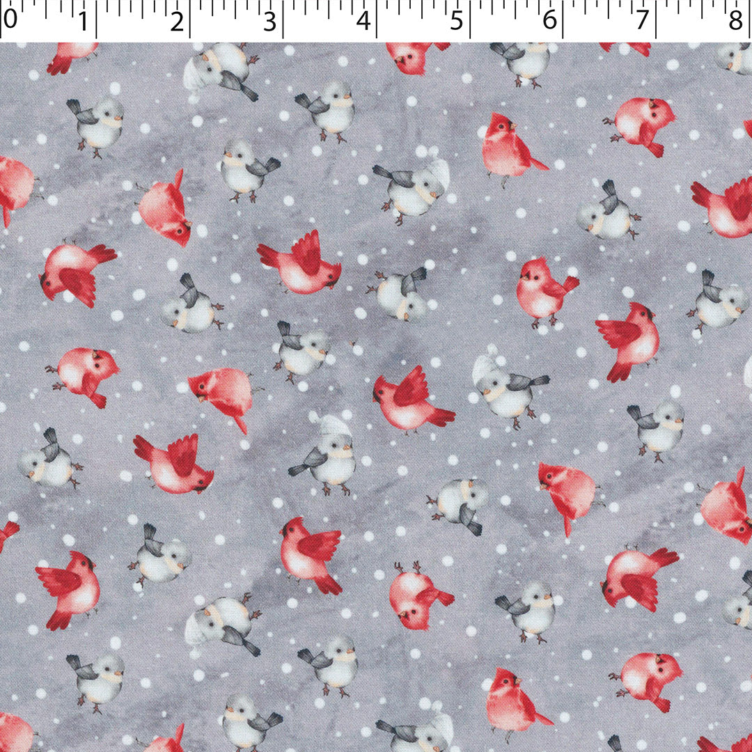 ROCKY MOUNTAIN HOLIDAY - FEATHERED FRIENDS