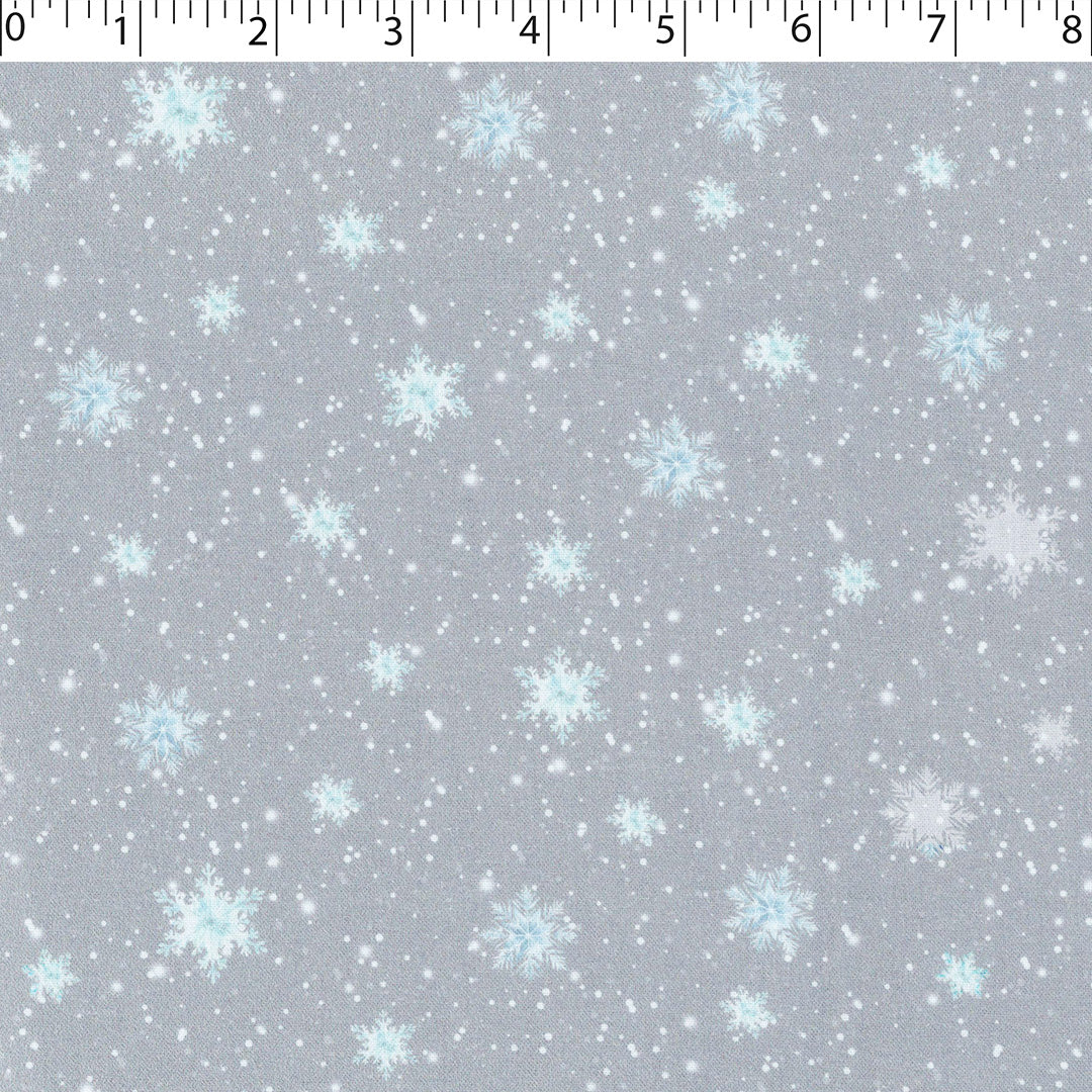 ROCKY MOUNTAIN HOLIDAY - SNOWY DAY