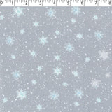 ROCKY MOUNTAIN HOLIDAY - SNOWY DAY