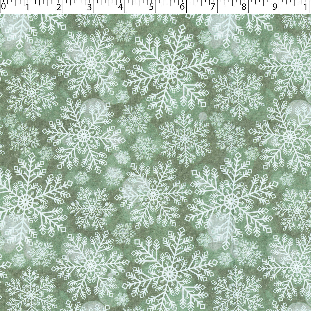 NATURAL HOLIDAYS - SNOWY