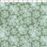 NATURAL HOLIDAYS - SNOWY