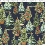 CHRISTMAS TRADITIONS - TREE LOT