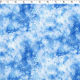 WINTER BLUES - SNOW STORM