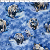 WINTER WONDERLAND III - ARCTIC WOLF