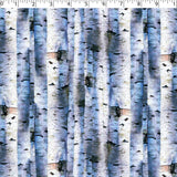 WINTER WONDERLAND III - BIRCH
