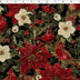 ELEGANCE CHRISTMAS III - CARDINAL POINSETTIA
