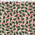 HOLIDAY HOMESPUN