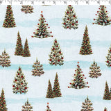NORTH POLE