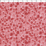 SUGARPLUM PRINTS