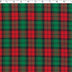 FESTIVE YARN DYES