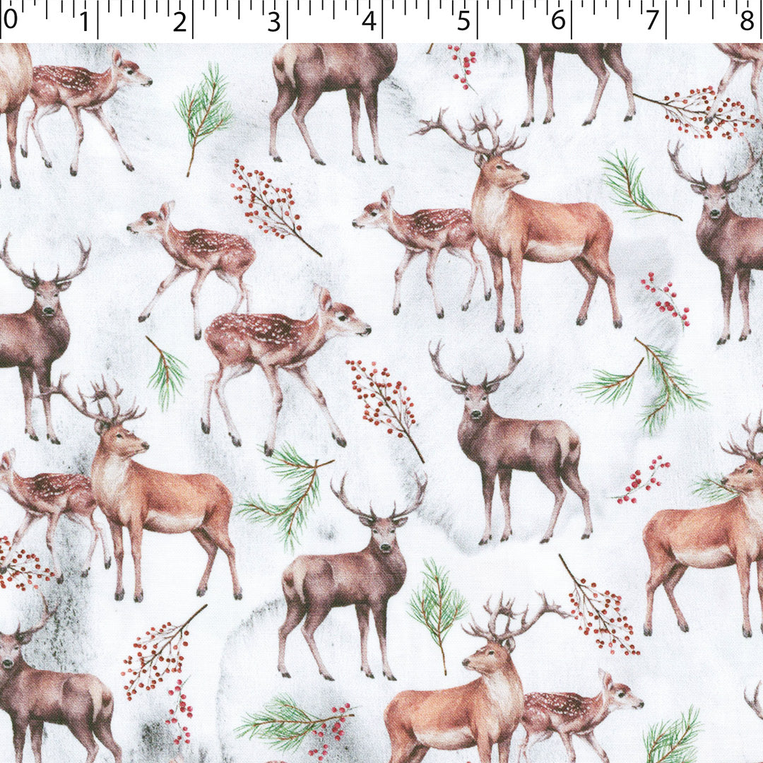 WINTER WONDERLAND II - WOODLAND DEER