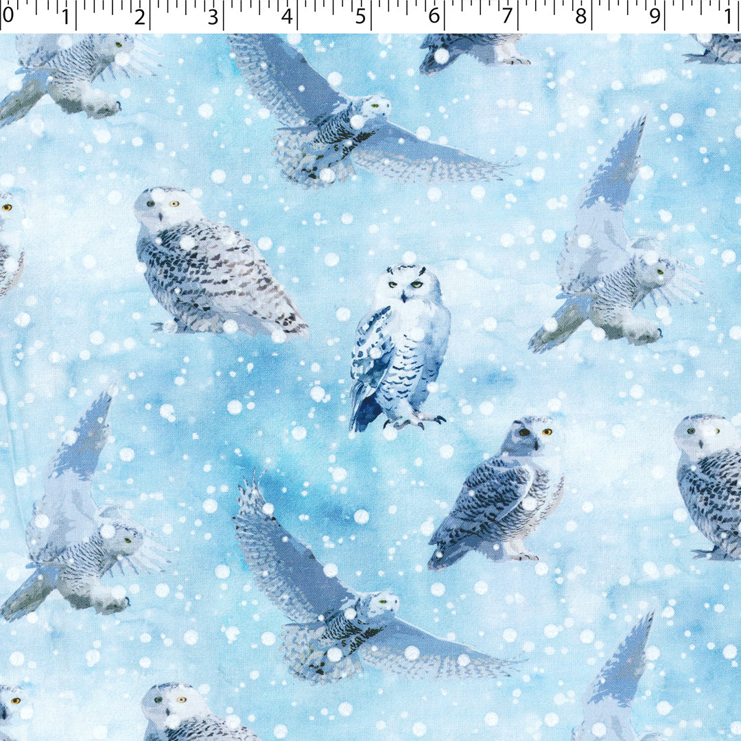 WINTER WONDERLAND II - SNOW OWL