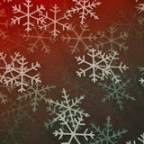 OMBRE MESH - SNOWFLAKES