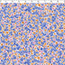 LILLIBET FLORALS