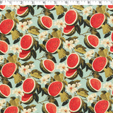 TUTTI FRUITTI - WATERMELON